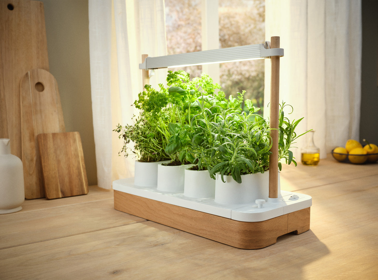 Auk | Award-winning indoor smart gardens from Scandinavia
